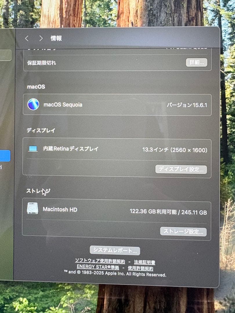 Apple MacBook Air (M1, 2020) ゴールド