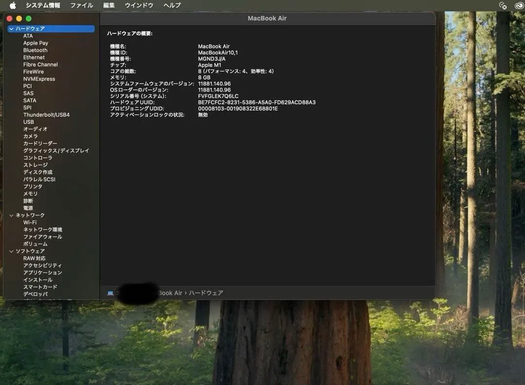 Apple MacBook Air (M1, 2020) ゴールド