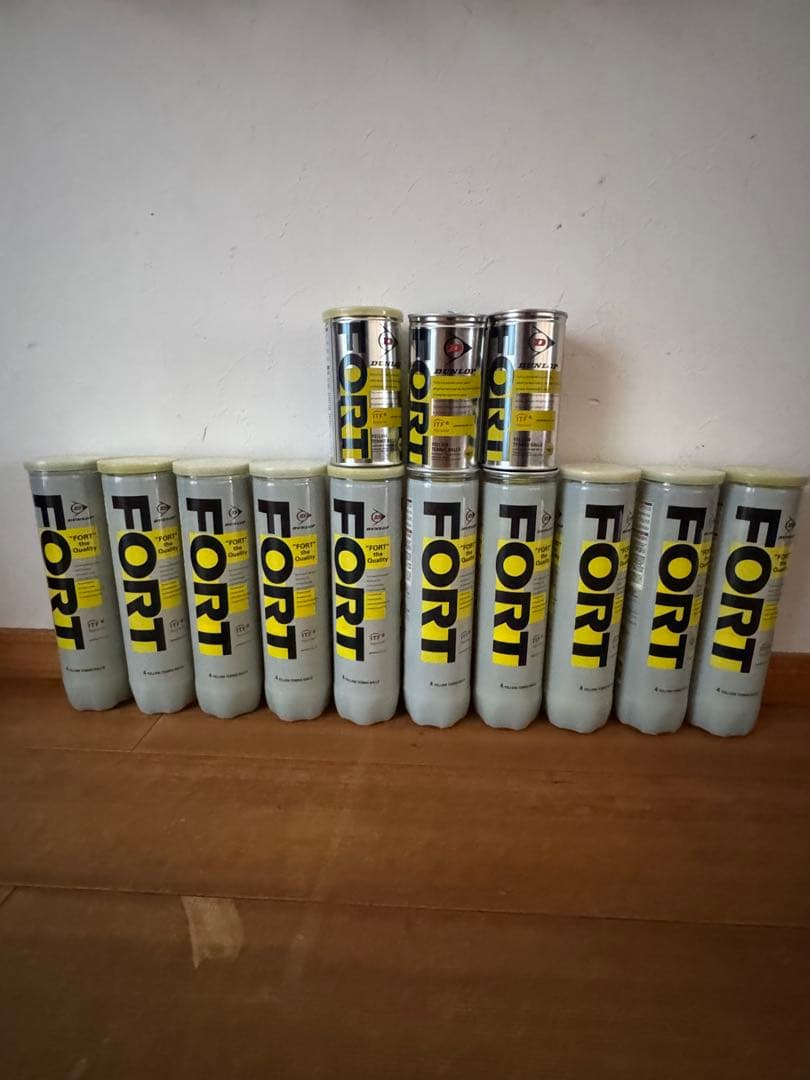 Dunlop FORT テニスボール 4個入り2個入り