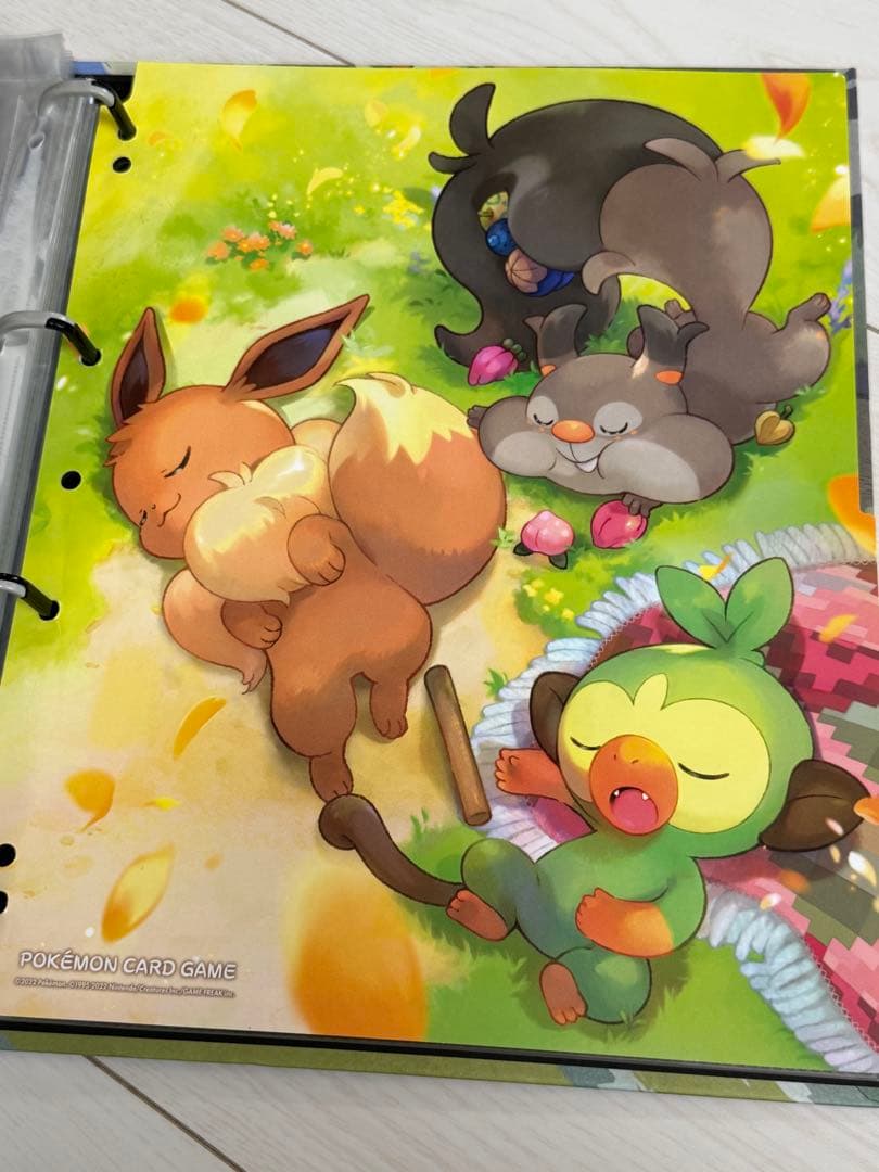 ポケカ　引退品