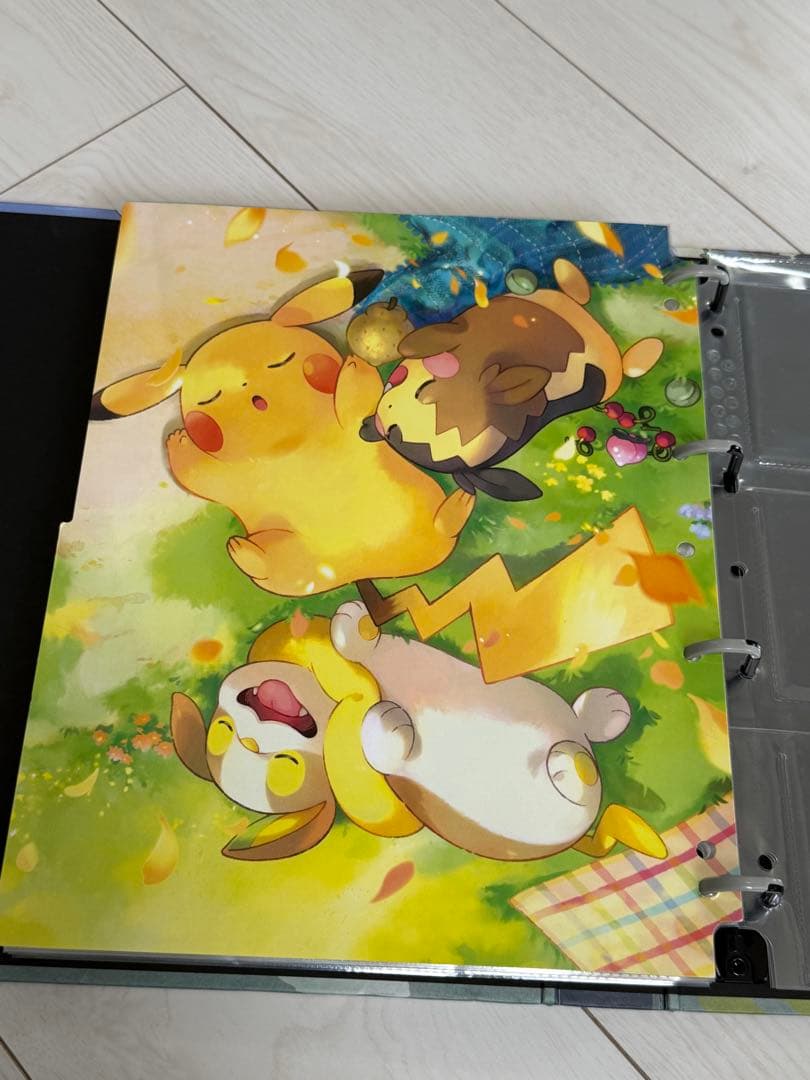 ポケカ　引退品