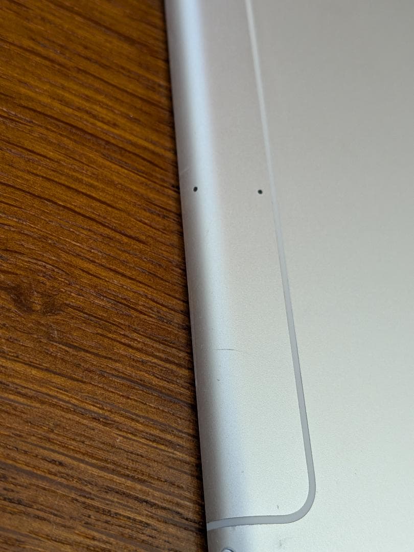 iPad mini 第5世代 Wi-Fi+Cellular 256GB