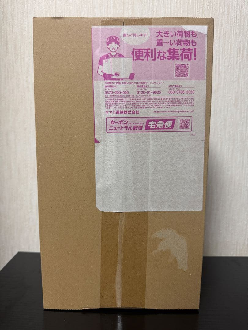 スペシャルBOX ポケモンセンタートウホク トウホクのピカチュウ プロモカード