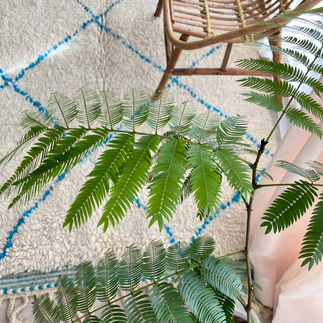 モロッコ111×171◇ダイヤ◇ ベニワレン　エメラルド　トルコヴィンテージラグ