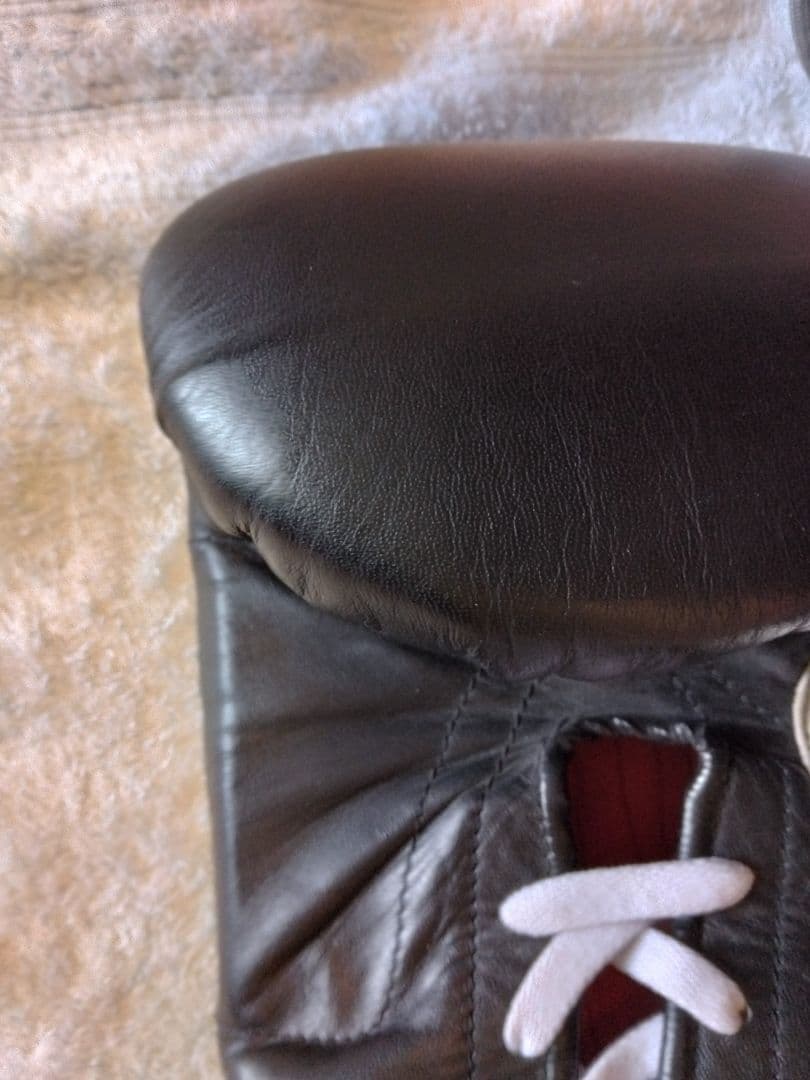 カサノバ、レイジェス　ボクシンググローブ