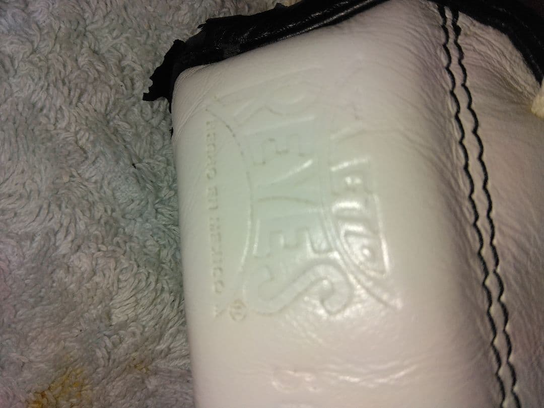 カサノバ、レイジェス　ボクシンググローブ