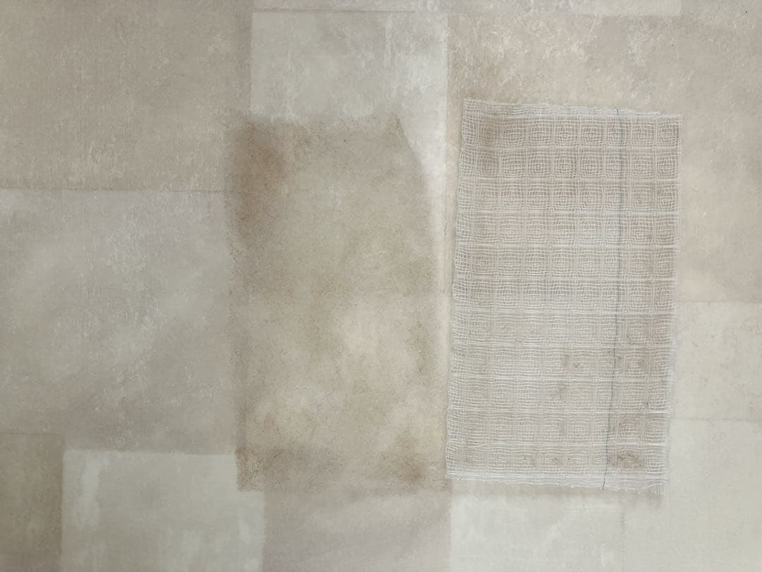 POLA CORONA ポーラ コロナ リフレプロ 置き型加湿器