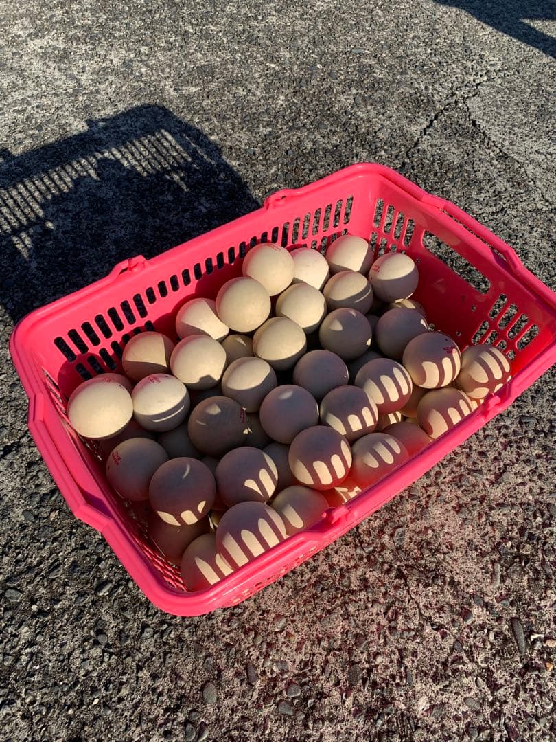 【✨公式級✨】Kenko ソフトテニスボール 90個＋カゴ 部活 練習用 大量