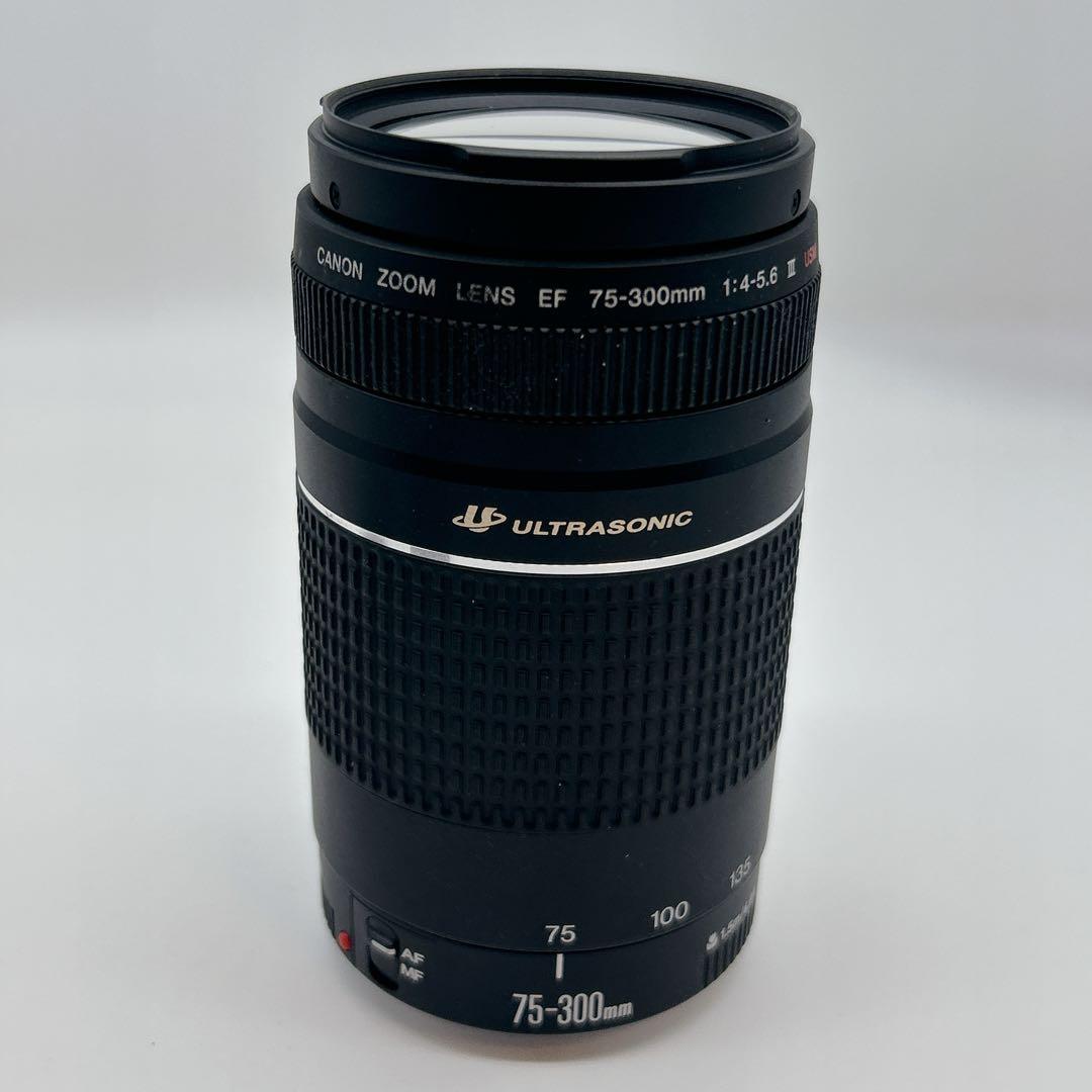 【美品】CANON 望遠レンズEF 75-300mm 1:4-5.6 Ⅲ