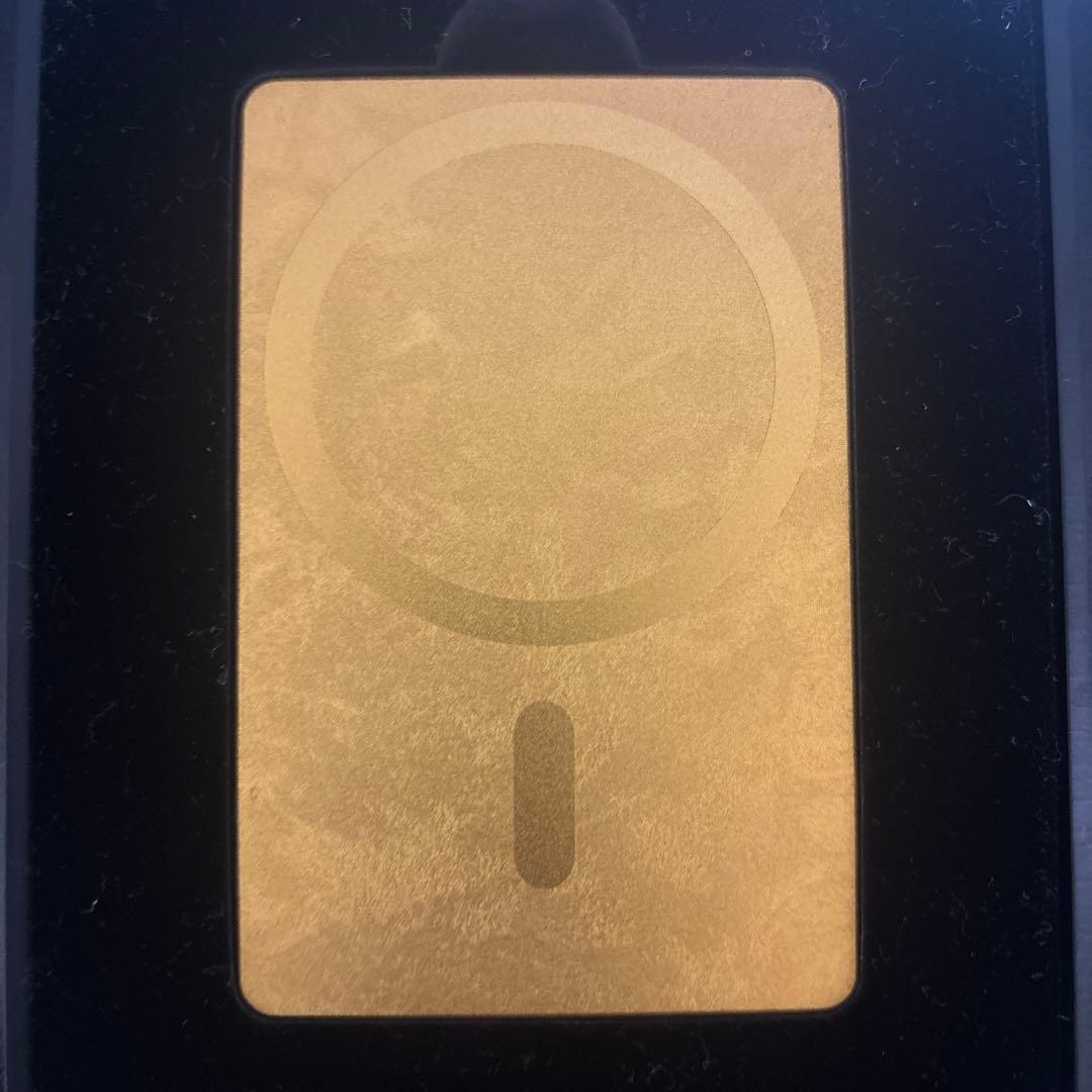 NIPO A100 ブラック　ノベルティ付き