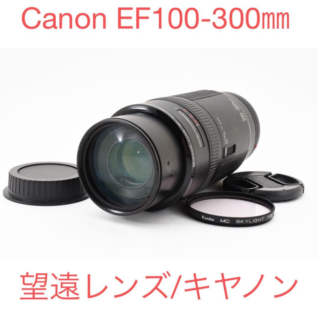キヤノン CANON ZOOM LENS EF 100-300mm F5.6