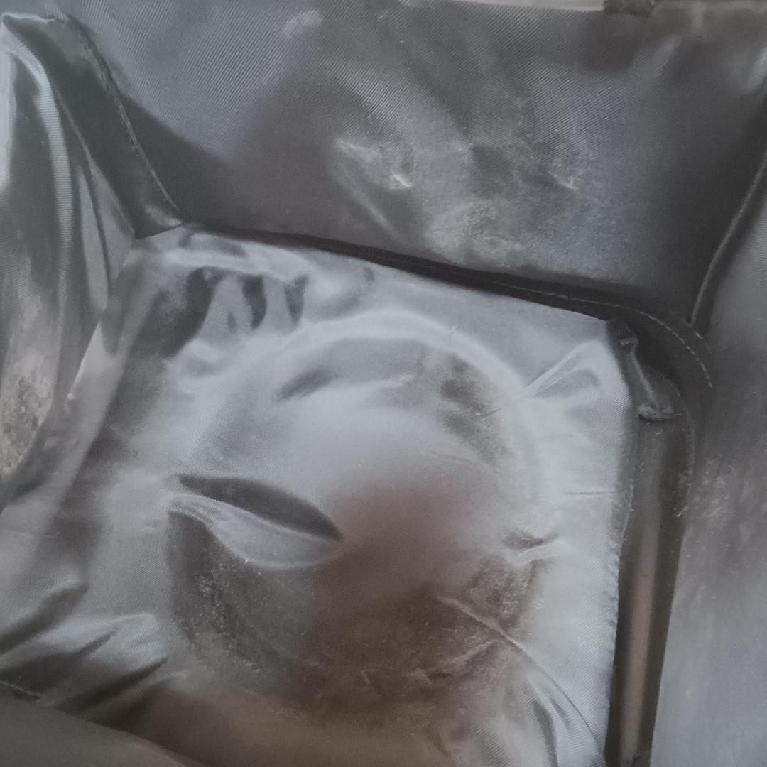 【美品】Brunswick クラウン2ボールローラー 黒×金 2ボール用