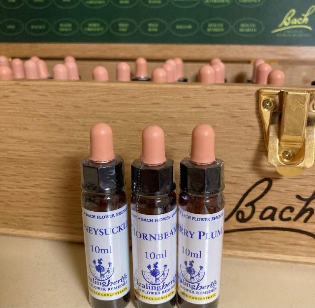 かきつばた　 5本フラワーエッセンス　ヒーリングハーブス