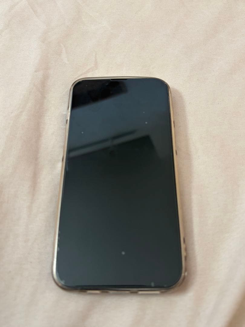 iPhone 13 Pro 本体