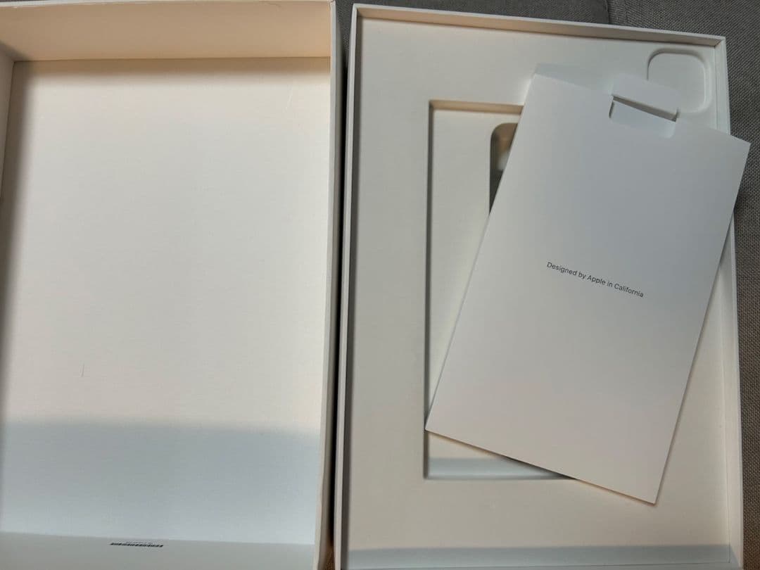 Apple iPad Pro (11インチ) 256GB 第４世代