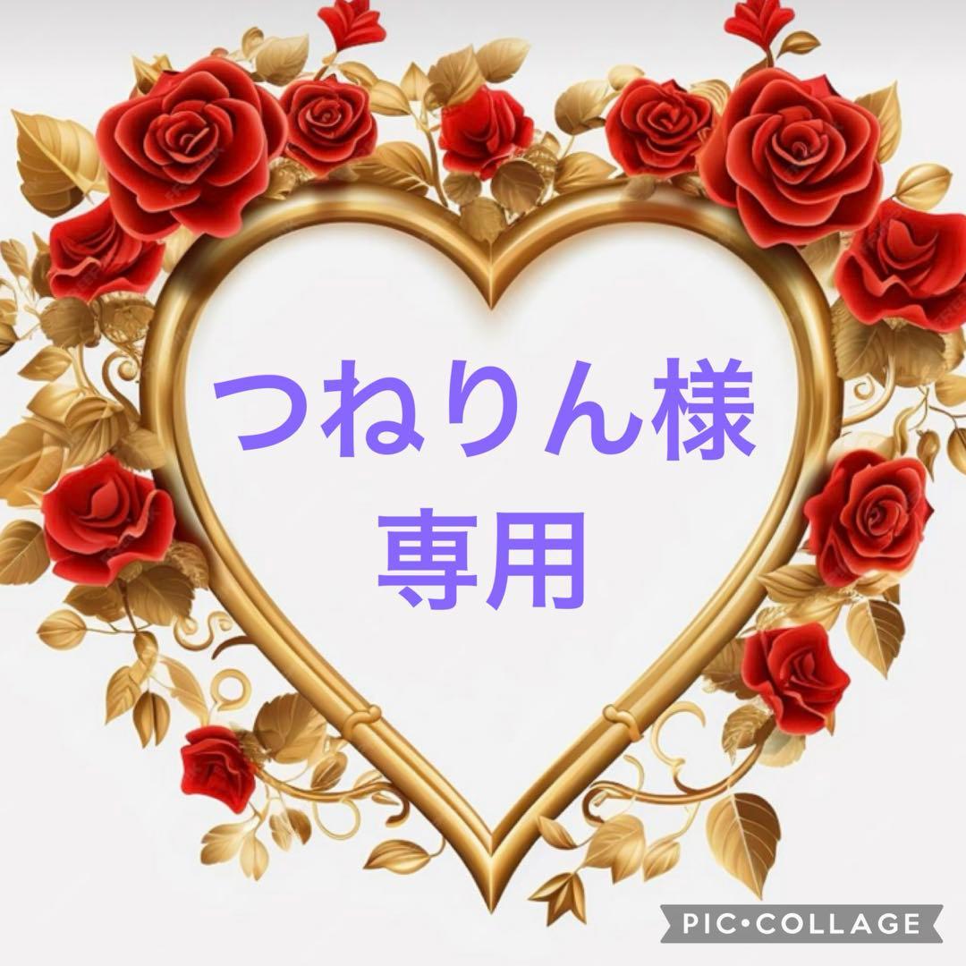 つねりん 多肉植物のオルゴナイト全10点セット