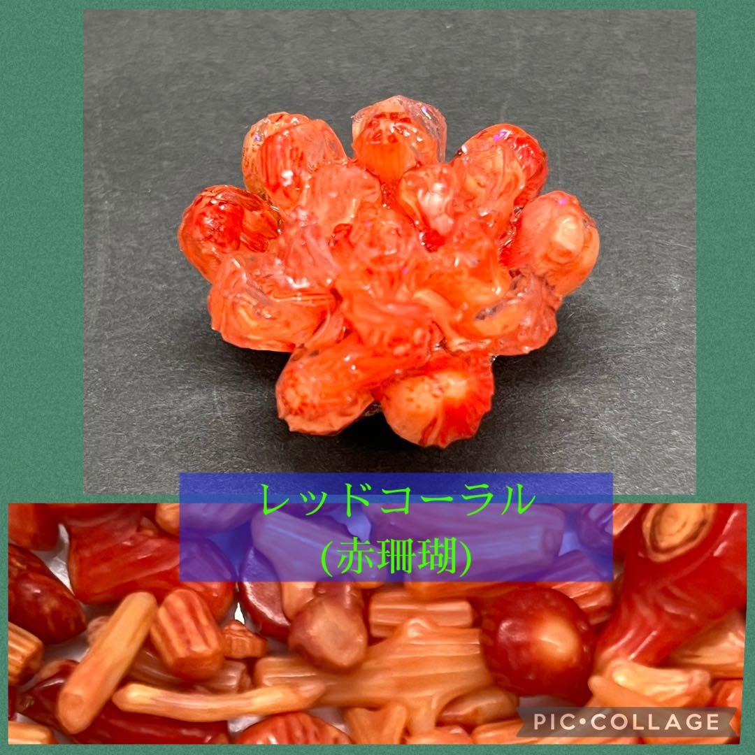 つねりん 多肉植物のオルゴナイト全10点セット