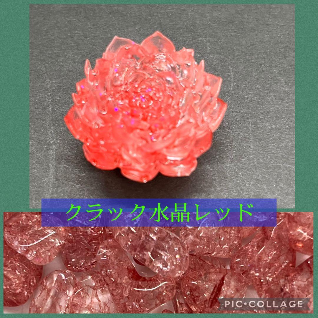 つねりん 多肉植物のオルゴナイト全10点セット