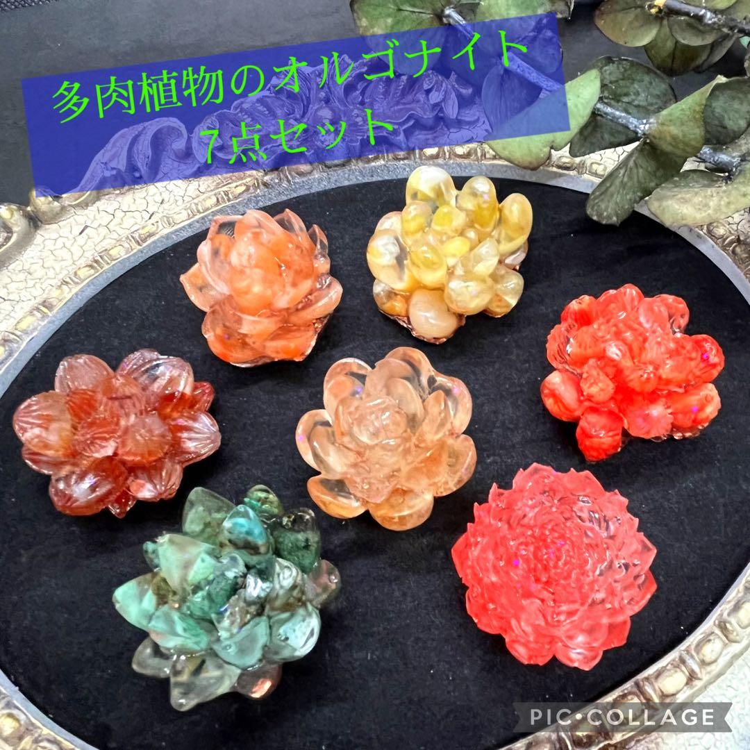つねりん 多肉植物のオルゴナイト全10点セット