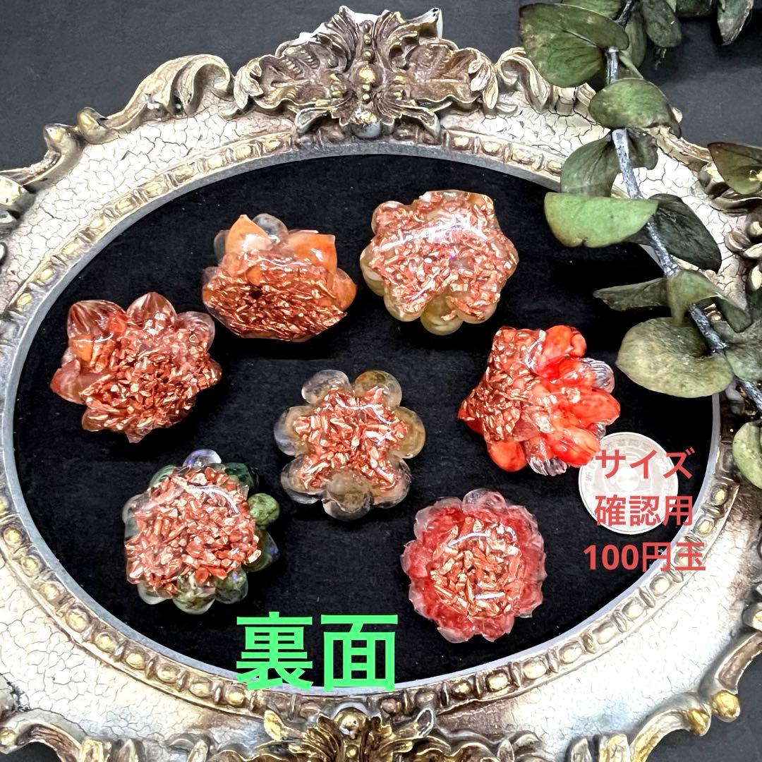 つねりん 多肉植物のオルゴナイト全10点セット