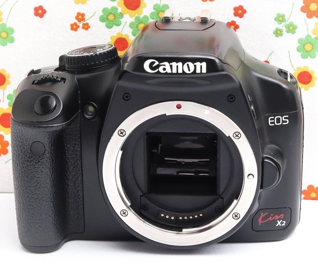 キャノン Canon kiss x2☆スマホに転送☆お手軽一眼レフ♪