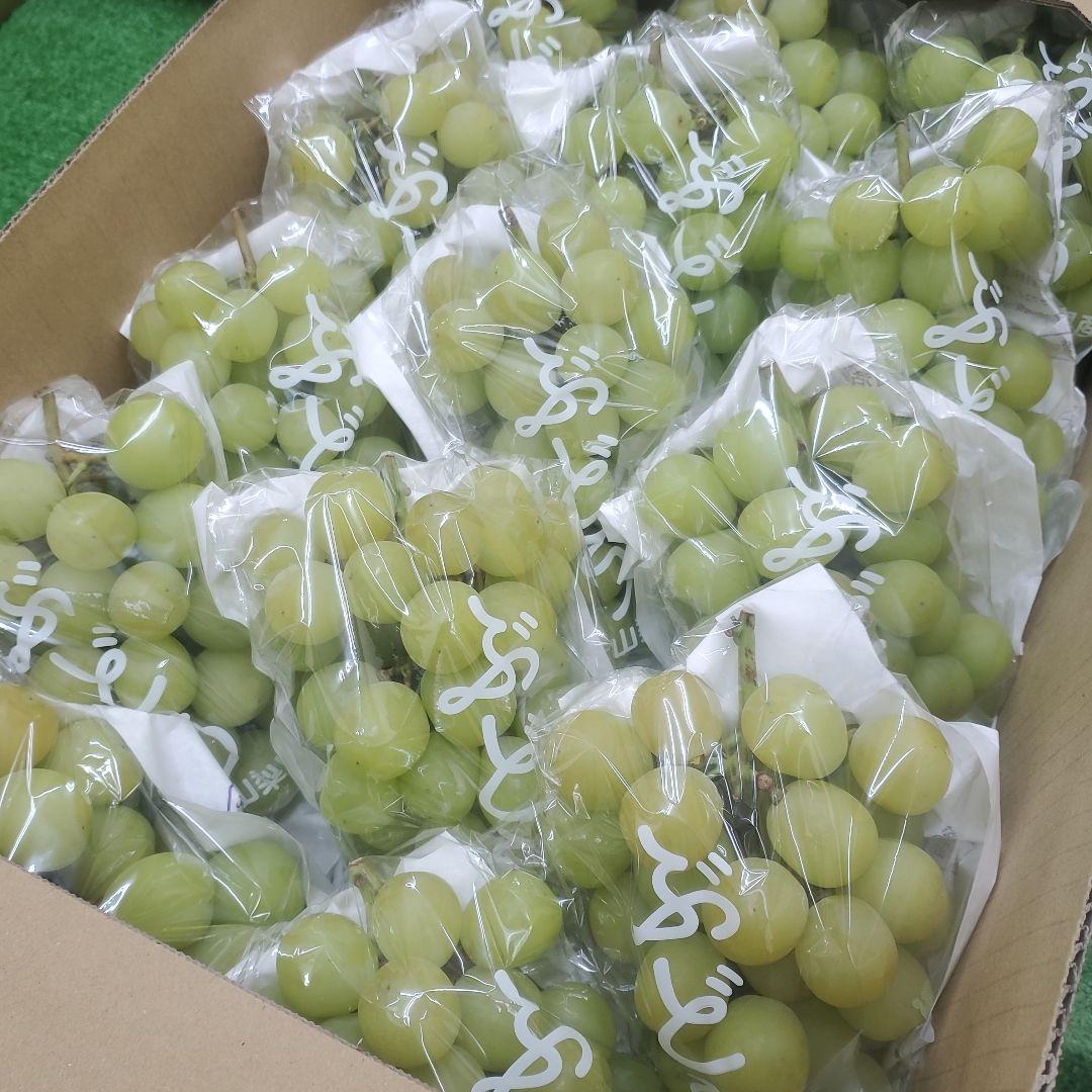 5️⃣ 山梨県産 シャインマスカット１４房 箱込み5.5キロ