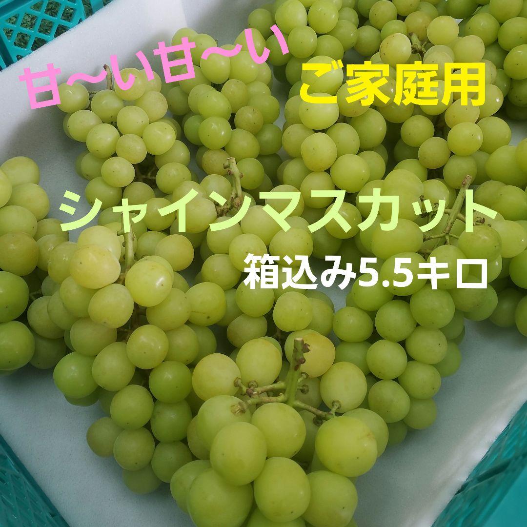 5️⃣ 山梨県産 シャインマスカット１４房 箱込み5.5キロ