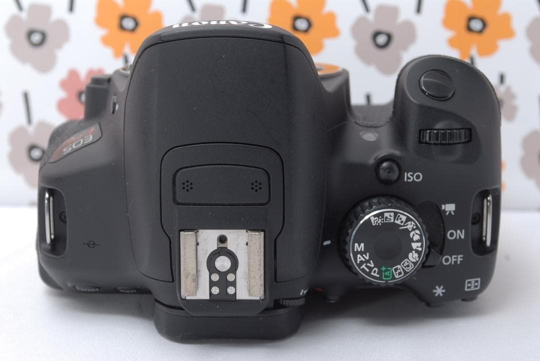 ❤Canon Kiss X6i❤優れたピント性能❤ペット撮影❤スマホ転送OK❤