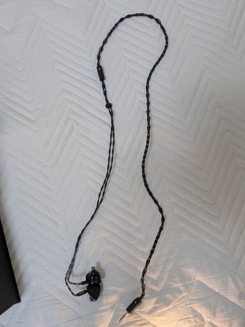 【期間限定】　超美品　Empire Ears Raven