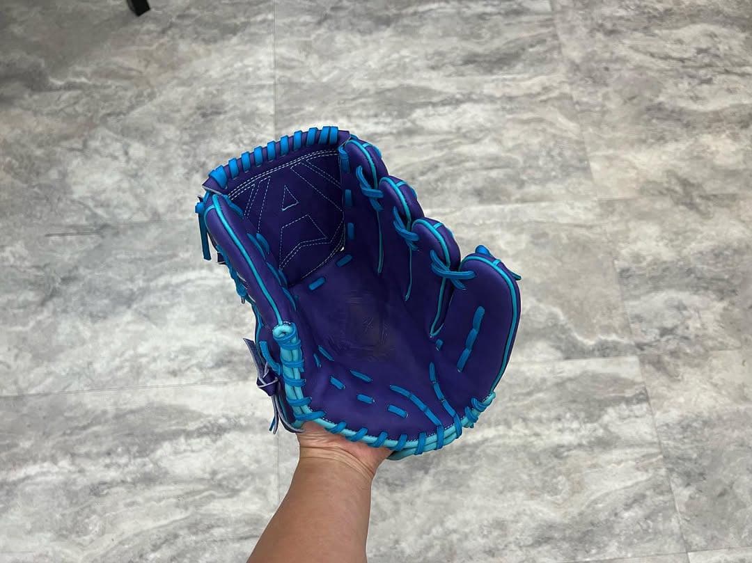 ALEGRIAオーダーグラブ