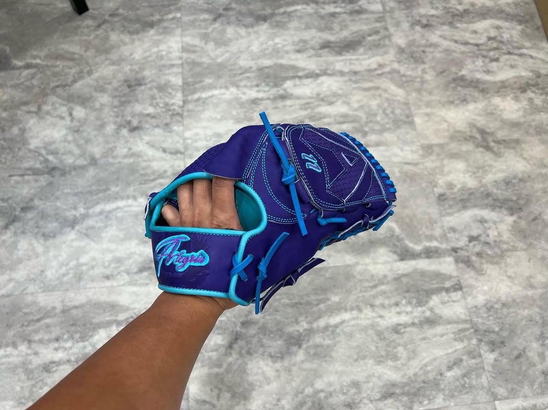 ALEGRIAオーダーグラブ