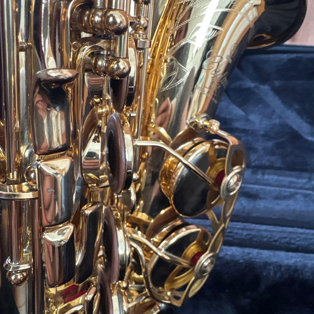 アルトサックス 875ex