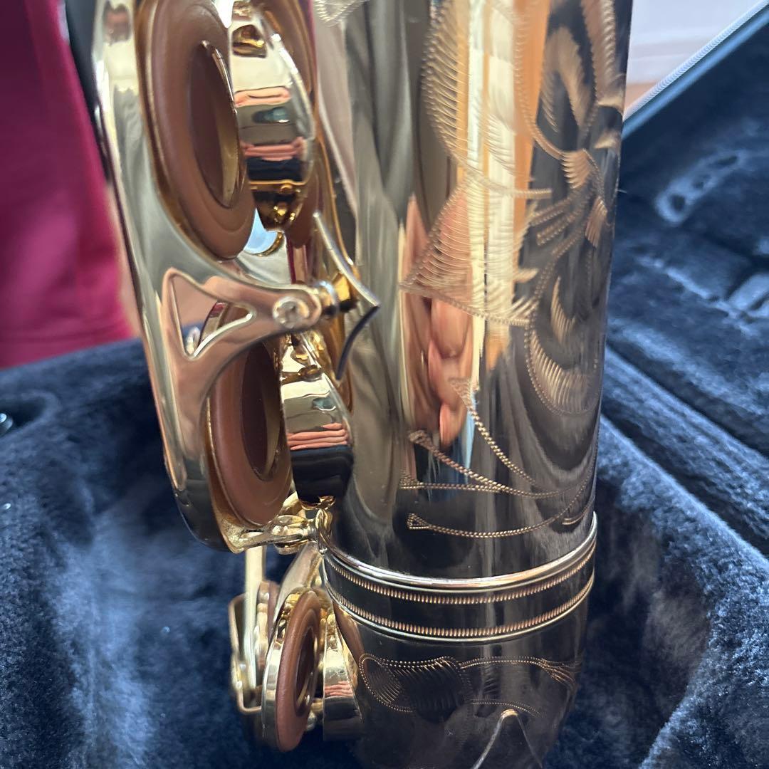 アルトサックス 875ex