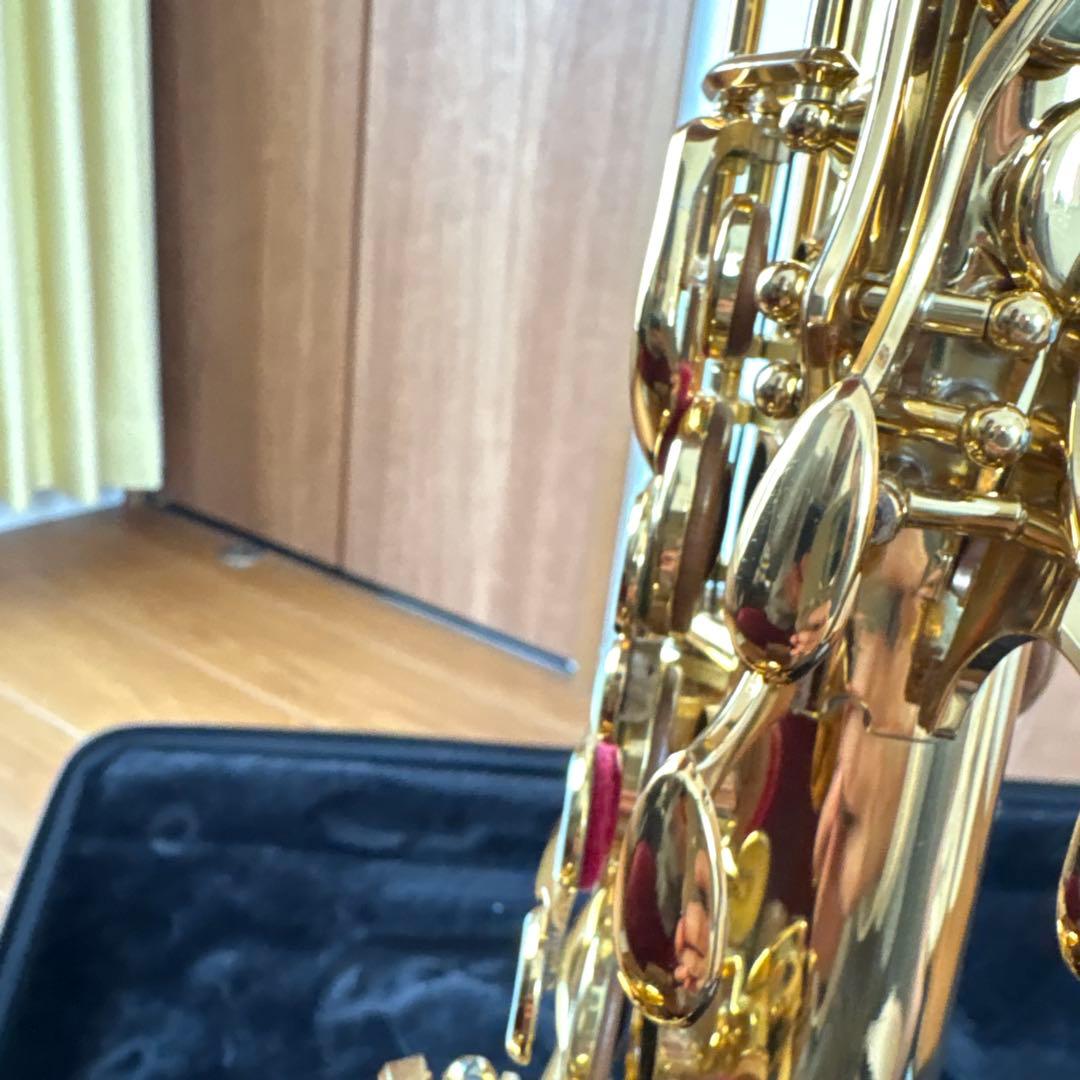 アルトサックス 875ex