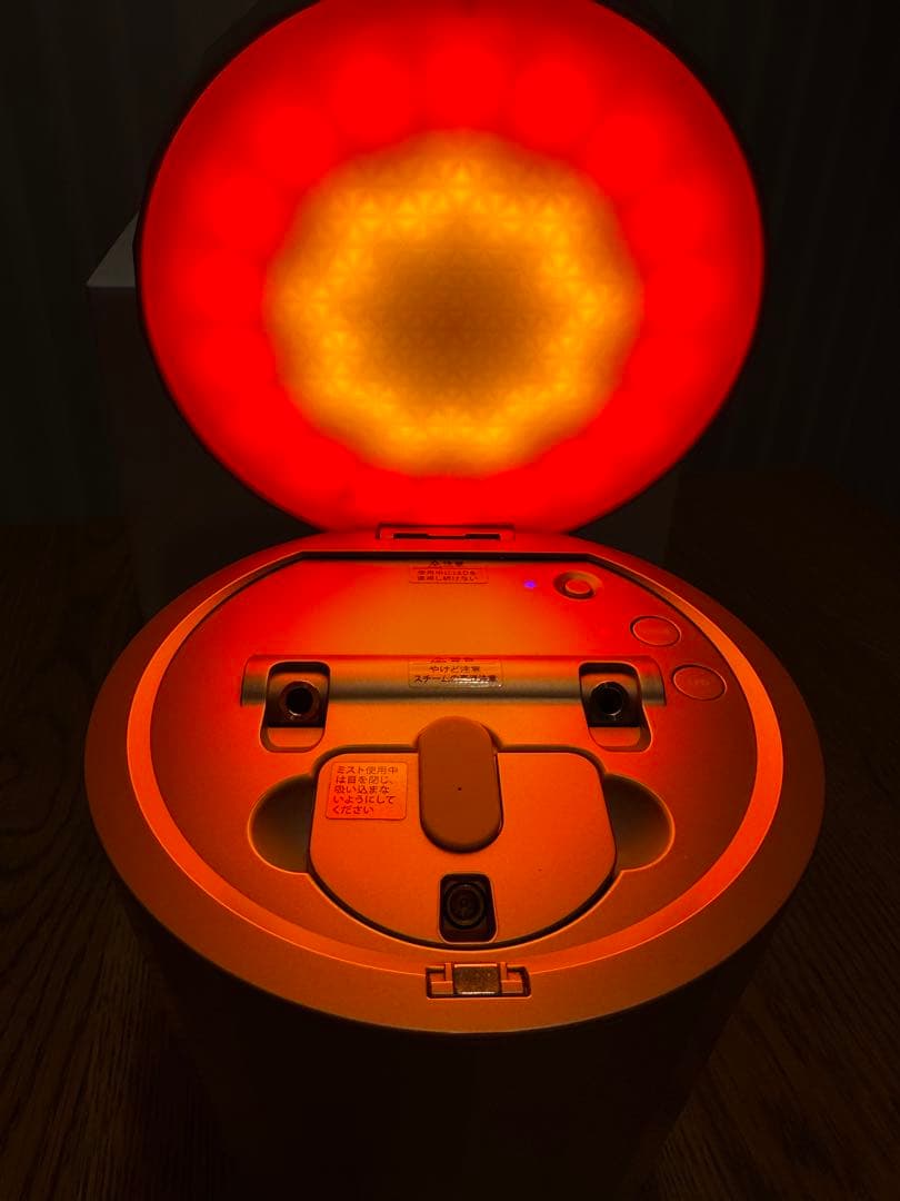 YA-MAN ヤーマン フォトスチーマー IS-100P