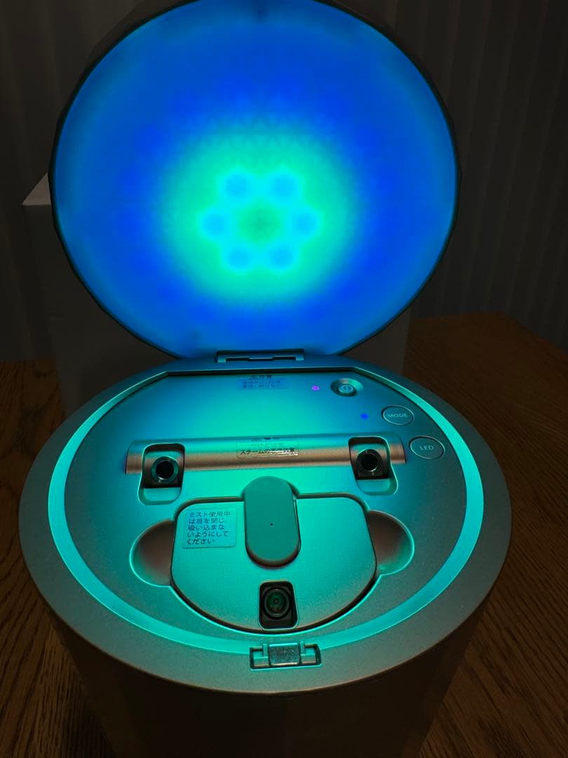 YA-MAN ヤーマン フォトスチーマー IS-100P