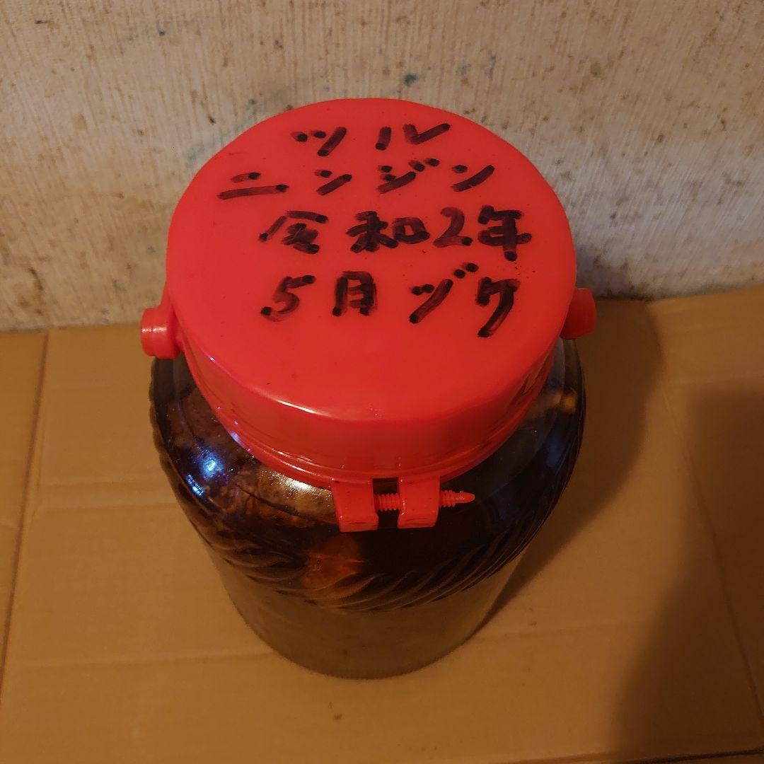 奈良県吉野山系吉野で採取りした天然物ツルニンジン酒5Ｌ入り ツルニンジン酒