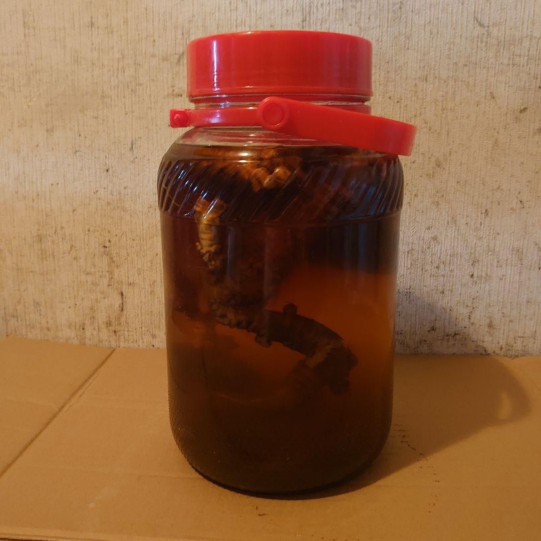 奈良県吉野山系吉野で採取りした天然物ツルニンジン酒5Ｌ入り ツルニンジン酒