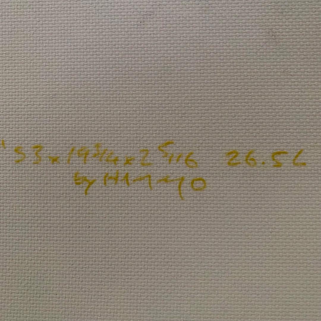 Hammo SAILFISH HalfCarbon&Tint5'3 5フィン