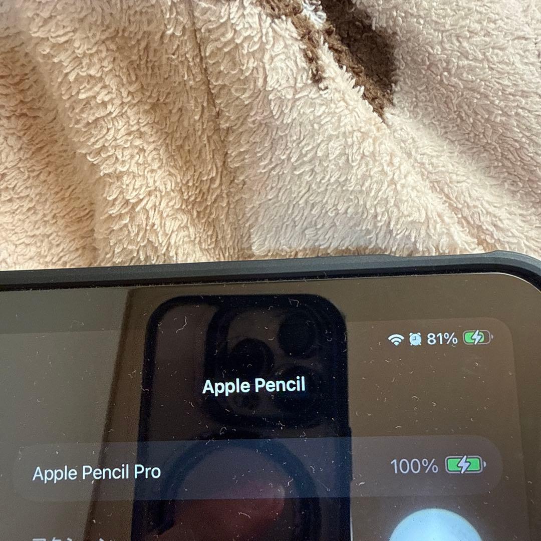 Apple Pencil pro 純正