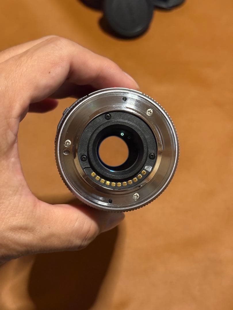 レンズ(ズーム) LUMIX VARIO 45-175mm F4-5.6 ASPH.