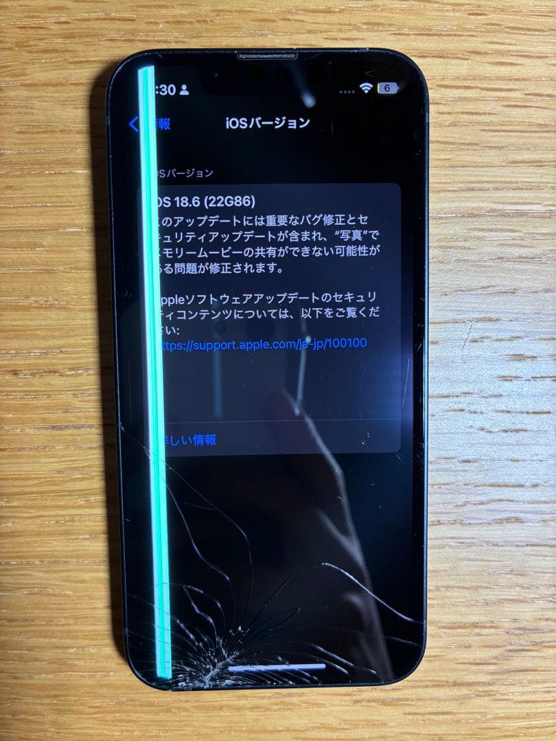 iPhone 13 mini TORRAS MagSafe ケース　ジャンク品