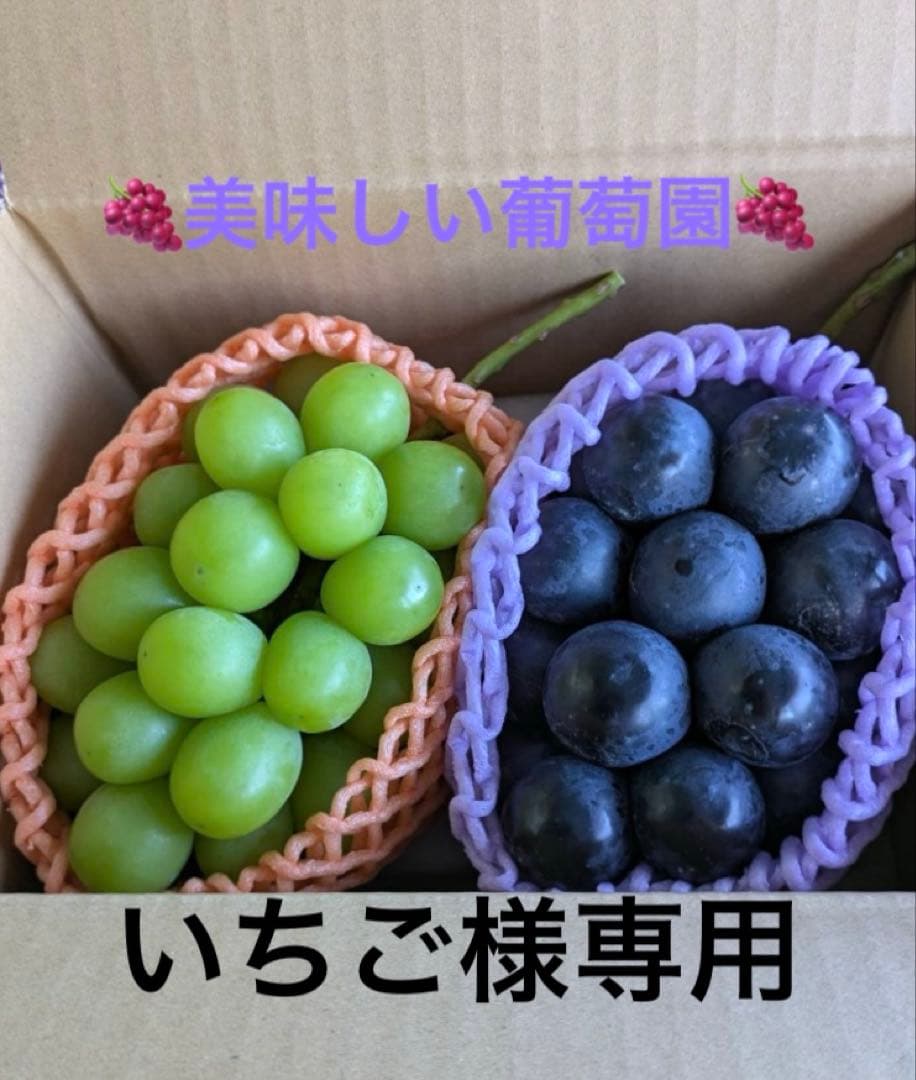 いちごナガノパープル1房、シャインマスカット3房