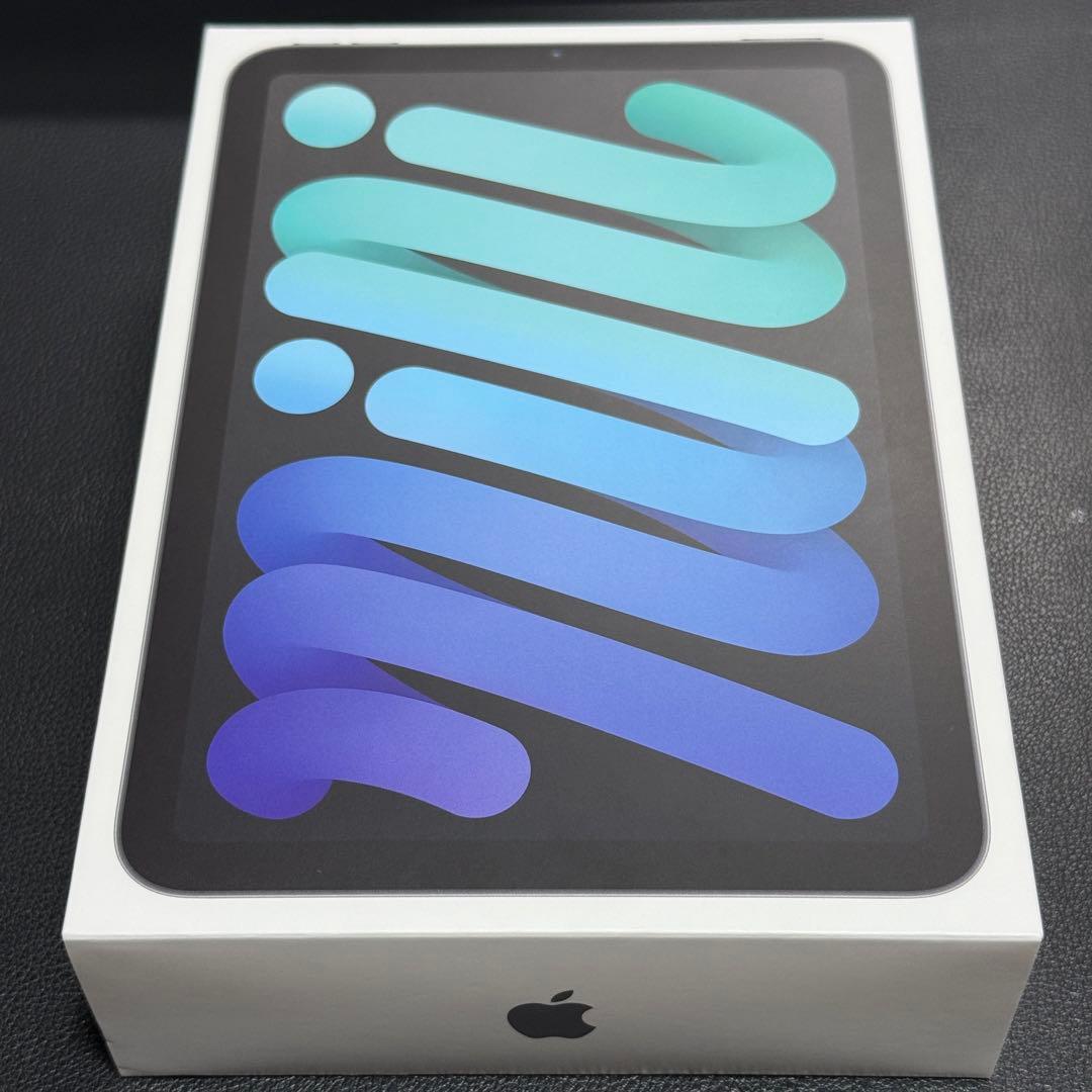 【美品】iPad mini 6 スペースグレー 8.3インチ 本体 256GB