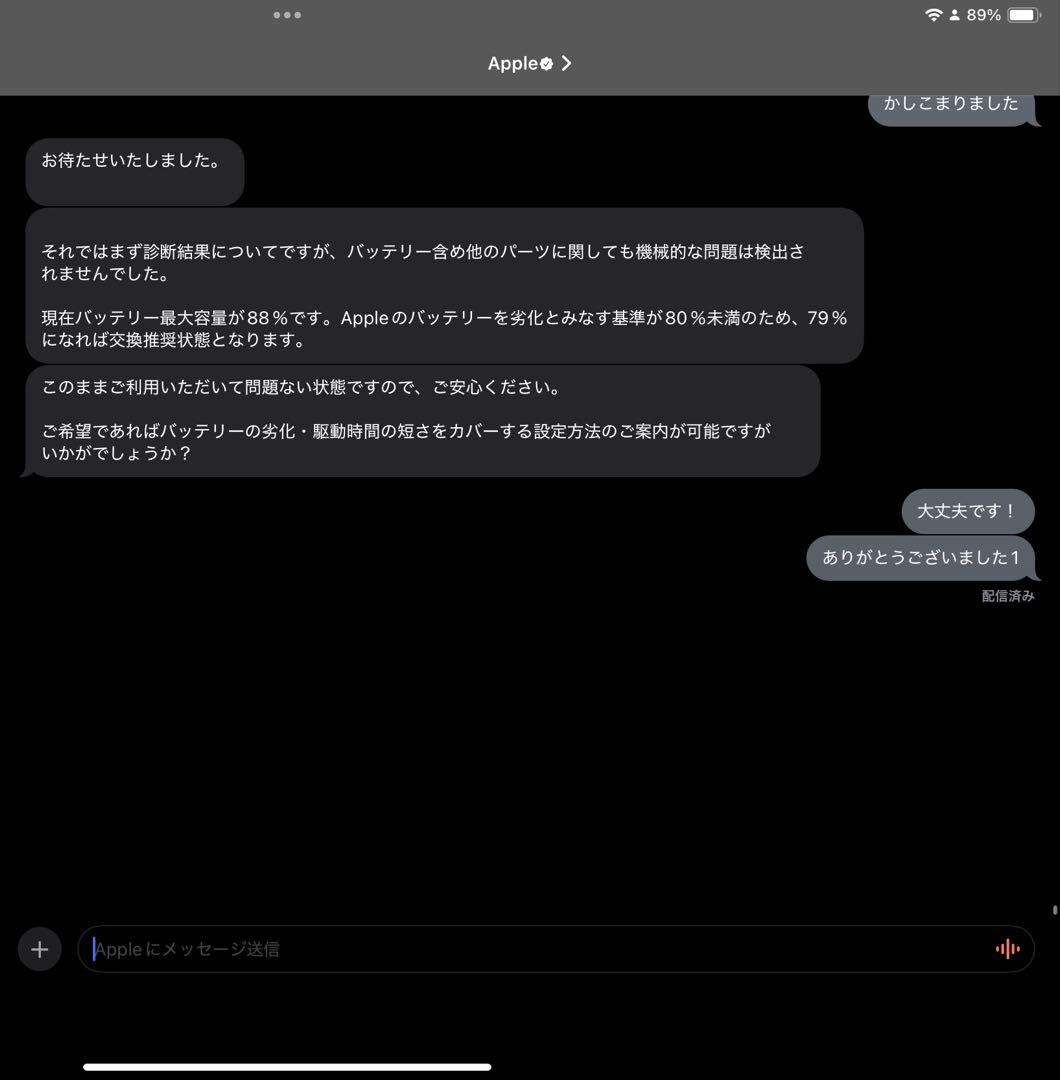 iPad Pro 11インチ 256GBセット