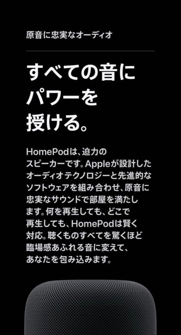 daichri Pod【第一世代】 ホームポッド 2台セット