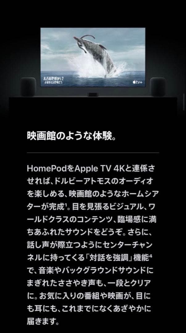 daichri Pod【第一世代】 ホームポッド 2台セット