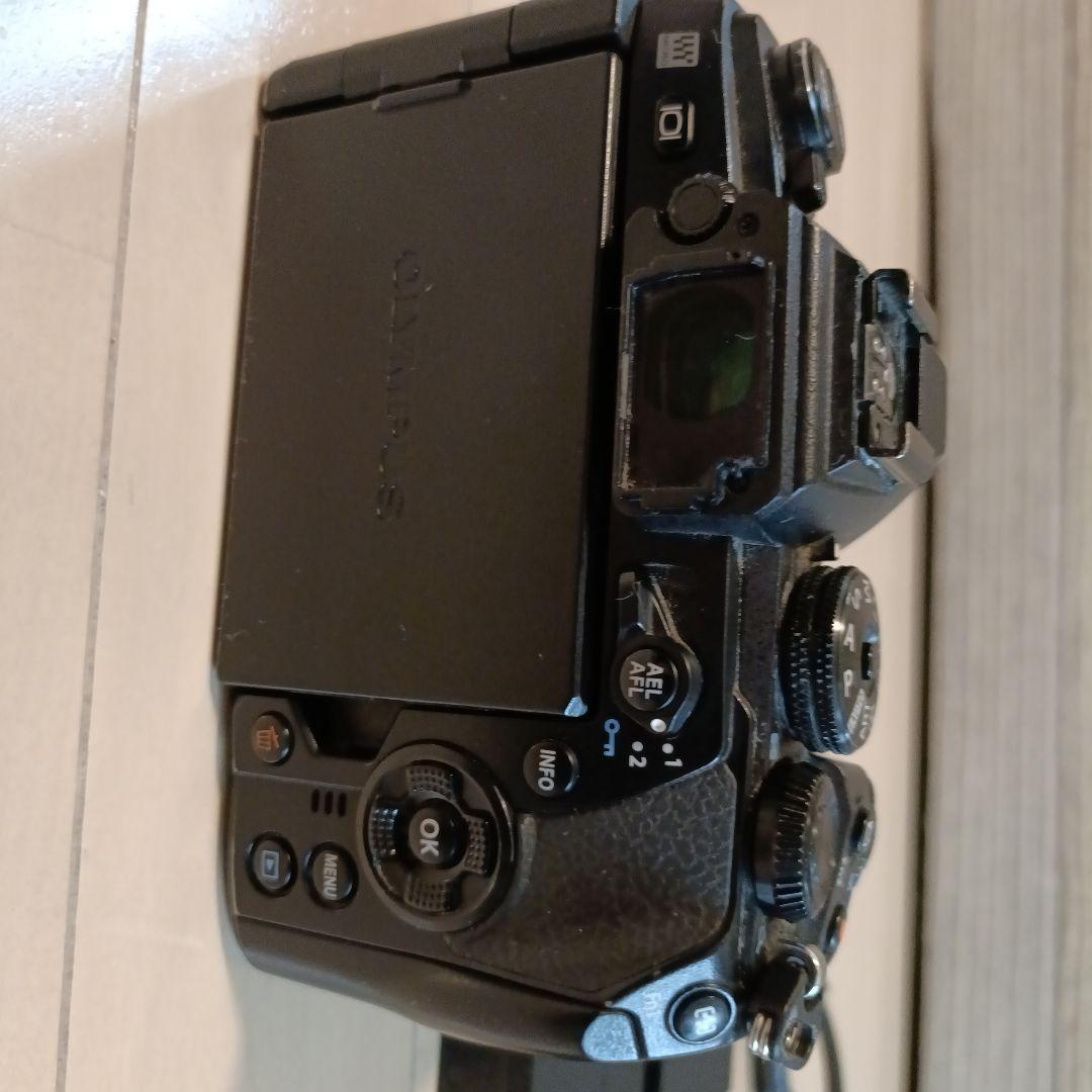 ぱ*迎様 （新春セール）Olympus OM-D E-M1 Mark II【動作