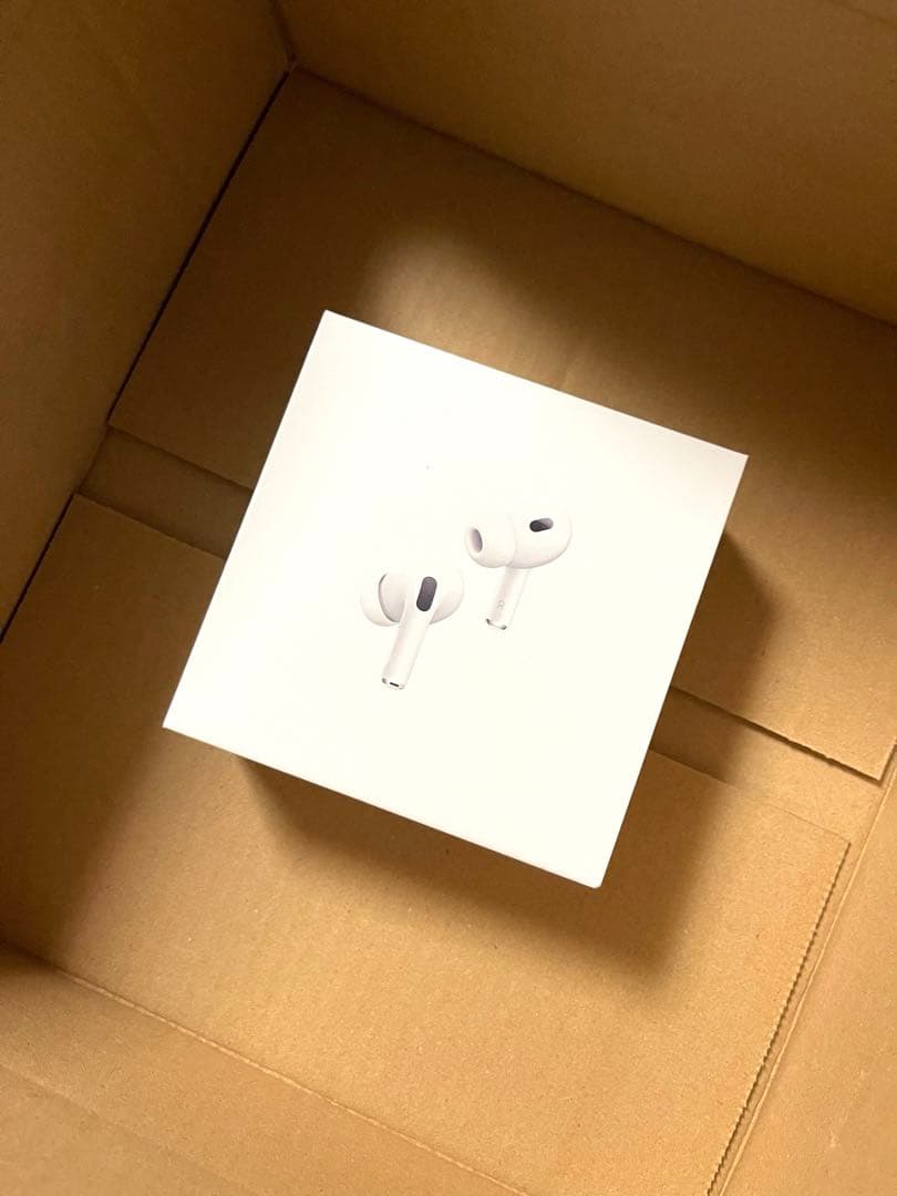 純正Apple AirPods Pro（第二世代）ケースと左耳のみ