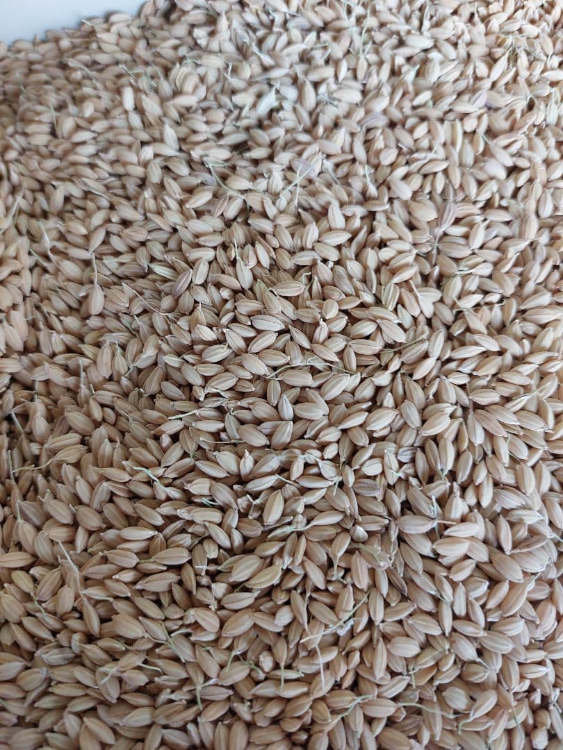 iPhone15ケースとハンドメイド品　です